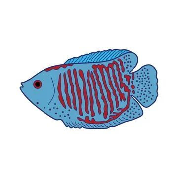Cartoon Vector illustration dwarf gourami fish icon Isolated on White Backg.. Stock Illustration