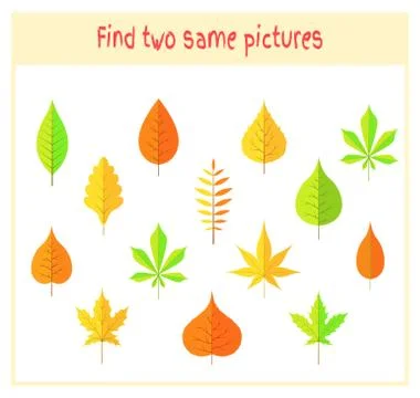 Cartoon Vector Illustration of Finding Two Exactly the Same Pictures Educational Stock Illustration