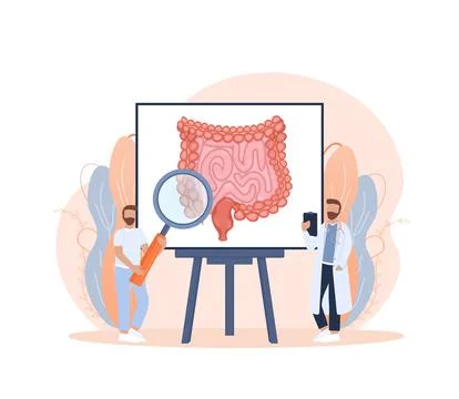 Cartoon vector illustration. Flat vector illustration with intestines, digestive イラスト素材
