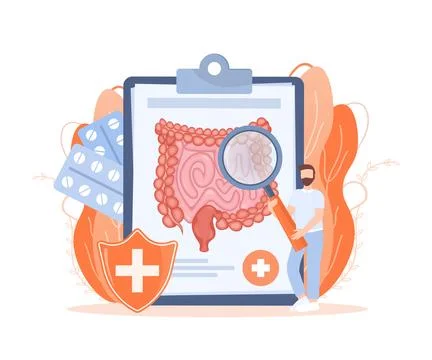 Cartoon vector illustration. Flat vector illustration with intestines, digestive Ilustración de archivo