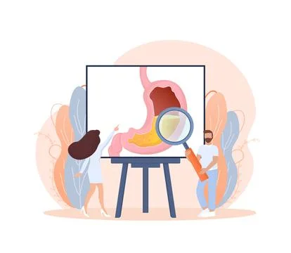 Cartoon vector illustration. Flat vector illustration with intestines, digestive Stockillustratie