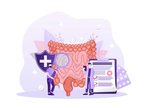 Cartoon vector illustration. Flat vector illustration with intestines, digestive 库存插图