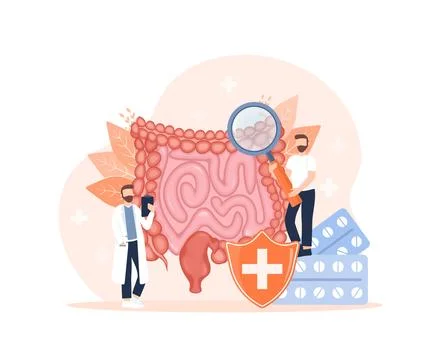 Cartoon vector illustration. Flat vector illustration with intestines, digestive Ilustración de archivo