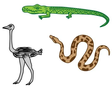 Cartoon vector illustration set collection of African animals crocodile ostrich Illustrazione stock