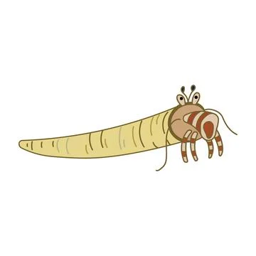 Cartoon Vector illustration tusk shell icon Isolated on White Background Stock Illustration