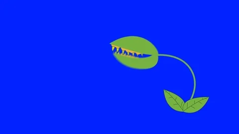 Cartoon Venus Fly Trap Biting On A Blue Screen Background Video stock 86906027