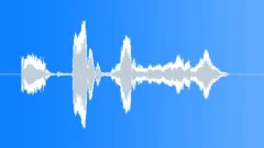 Cartoon Voice Shapes and Colors Sound Effect