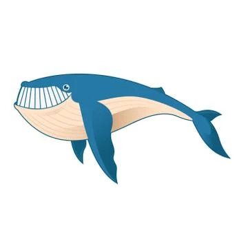 Cartoon Whale Stock Illustration