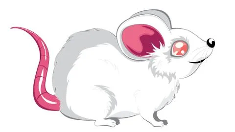 Cartoon white rat Illustration