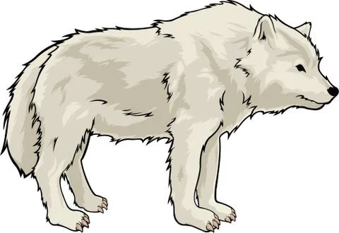 Cartoon white wolf Stock Illustration