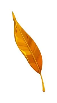 Cartoon willow autumn leaf in fall season Stock Illustration