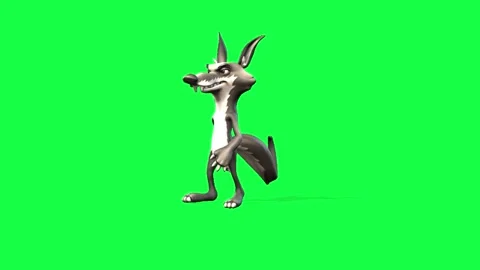 Cartoon wolf struts confidently against a vibrant green screen backdrop, pe.. Stock Footage 322807149