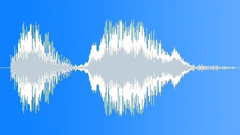 Cartoon Wolf Whistle. Sound Effect