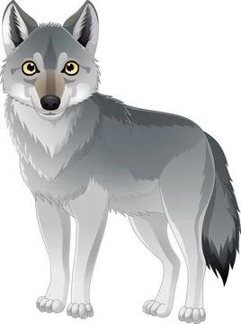 Cartoon wolf on white background Stock Illustration