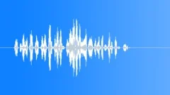 CARTOON, YELLSound Effect