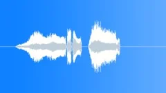 CARTOON, YELL Sound Effect