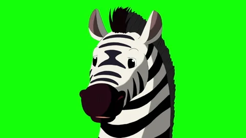 Cartoon Zebra on Green Screen Background 2D animation HD Stock Footage 333605800