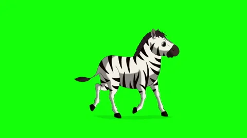 Cartoon Zebra on Green Screen Background 2D animation HD Stock Footage 333605804