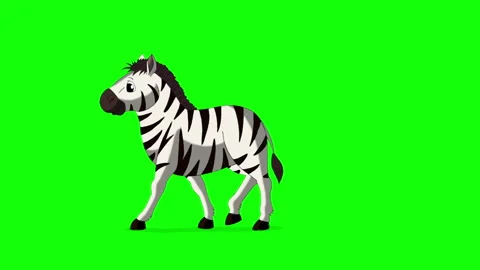 Cartoon Zebra on Green Screen Background 2D animation HD Stock Footage 333605809
