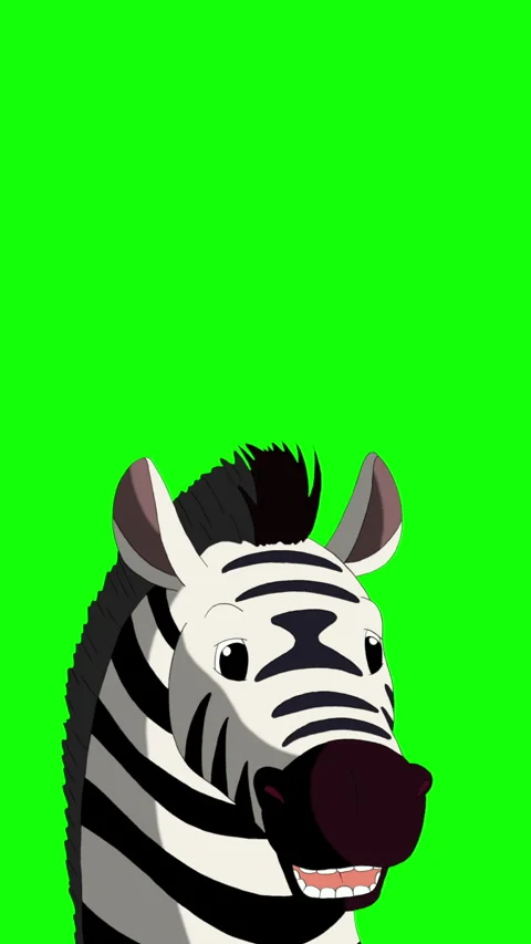 Cartoon Zebra on Green Screen Background vertical 2D animation HD Stock Footage 334697539