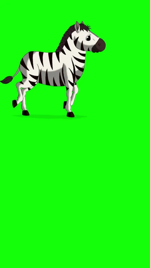 Cartoon Zebra on Green Screen Background vertical 2D animation HD Stock Footage 334697543