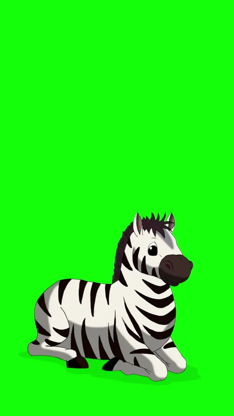 Cartoon Zebra on Green Screen Background vertical 2D animation HD Stock Footage 334697546