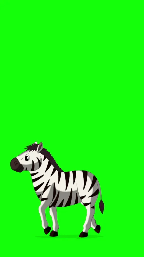Cartoon Zebra on Green Screen Background vertical 2D animation HD Stock Footage 334697549