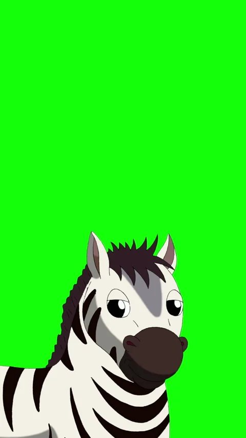 Cartoon Zebra on Green Screen Background vertical 2D animation HD Stock Footage 334697555