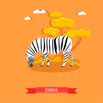 Cartoon Zebra vector in flat style. Design elements and icons. Kids book Illustrazione stock