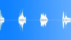 CARTOON,ACCENT Sound Effect