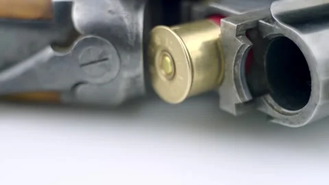 Cartridge in the barrel. Stockbeeldmateriaal 262507262