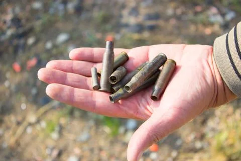 Cartridges in hand Foto stock