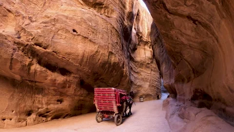 Carts for the transfer of tourists in Petra Stock Footage 144056465