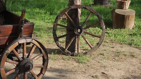 Cartwheel leaning against a tree Vídeo Stock 107444587