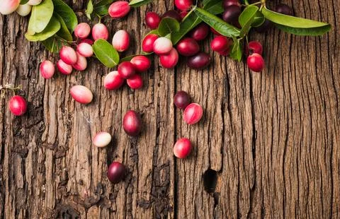 Carunda fruit Stock Photos