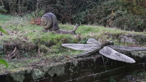 Carved Creatures 스톡 동영상 82116347