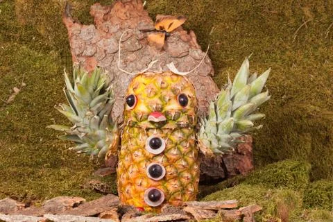 Carved eagle owl from pineapple in the forest, Landscape Stock Photos