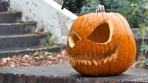 A carved Halloween pumpkin on the frontyard. Stock Footage 97307140
