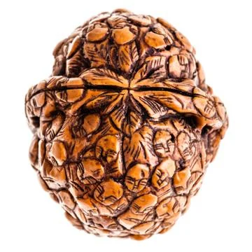 Carved nutshell Stock Photos