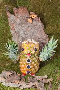 Carved Owl from pineapple Stock Photos