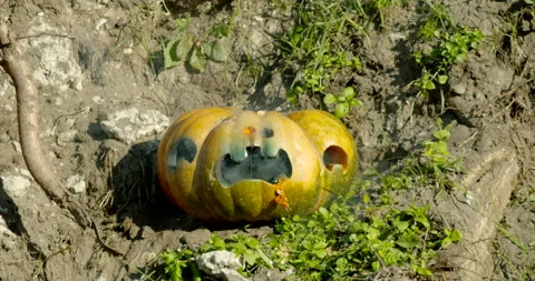 Carved pumpkin explodes in slow motion Video stock 145054415