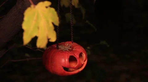 Carved pumpkin hanging on a chain 動画素材 68614573