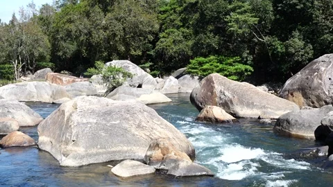 Carved in Stone: Crystal Stream Rushing Through Forest Boulders 스톡 동영상 342369182