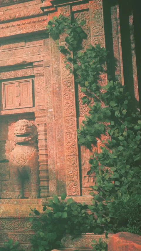Carved stone wall with a lion statue and climbing plants in a temple Stock Footage 341016427
