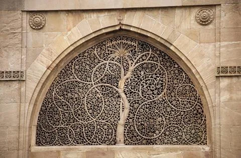Carving details on the outer wall of the Sidi Sayeed Ki Jaali (Mosque), Bu... Stock Photos