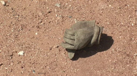 Carving hand Stock-Footage 477631