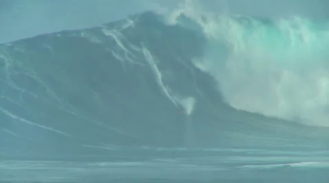 Carving Jaws Stock Footage 1043977