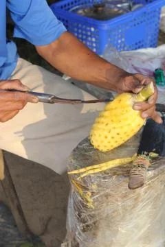 Carving a pineapple Stock Photos