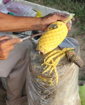 Carving a pineapple Stock Photos