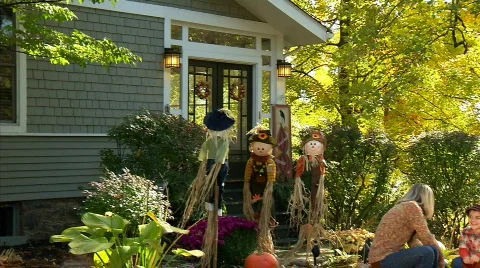 Carving Pumpkins 364 Stock Footage 559151